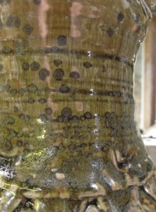 large_jug_detail