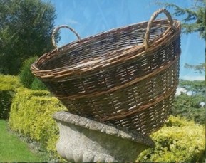 clydebasket